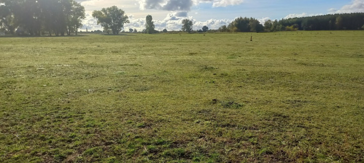 Działka Sprzedaż Borzysławiec 5