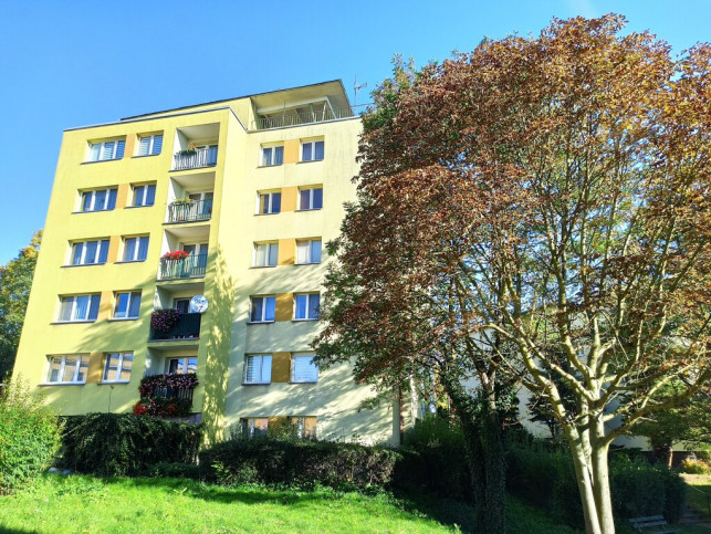 Mieszkanie Wynajem Szczecin Drzetowo Willowa 10