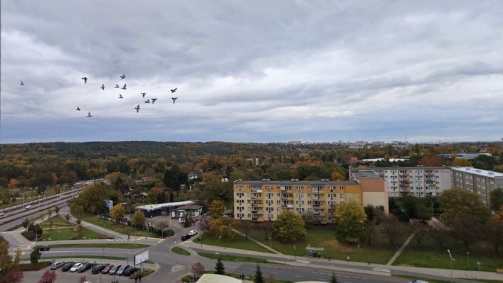 Mieszkanie Sprzedaż Szczecin os. Zawadzkiego-Klonowica Władysława Szafera 17