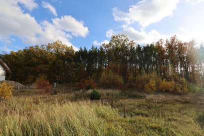 Działka Sprzedaż Szczecin Załom