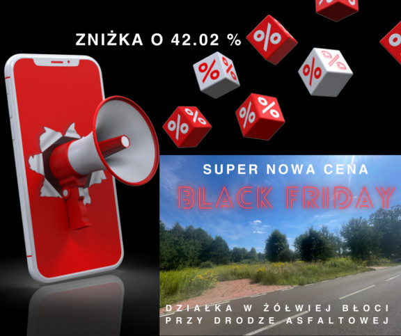 Działka Sprzedaż Żółwia Błoć 1