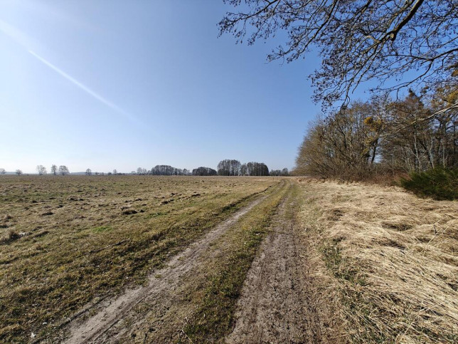 Działka Sprzedaż Stepnica 3