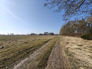 Działka Sprzedaż Stepnica
