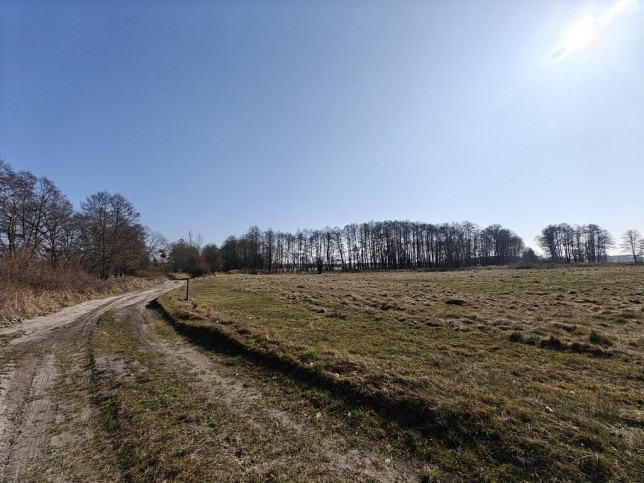 Działka Sprzedaż Stepnica 6