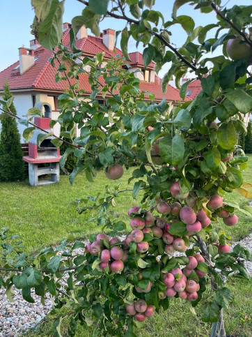 Mieszkanie Sprzedaż Siadło Dolne Wichrowe Wzgórza 20