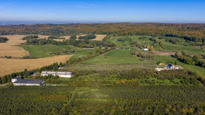 Obiekt Sprzedaż Binowo