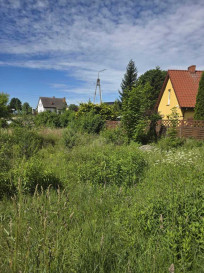 Działka Sprzedaż Krągi