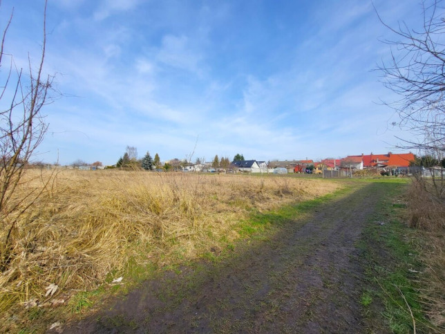 Działka Sprzedaż Koszewo 3