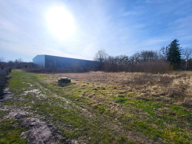 Działka Sprzedaż Koszewo 4