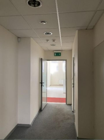 Lokal Wynajem Szczecin Centrum 14