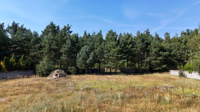 Działka Sprzedaż Nowe Czarnowo