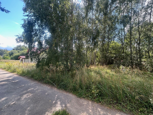 Działka Sprzedaż Dołuje 3