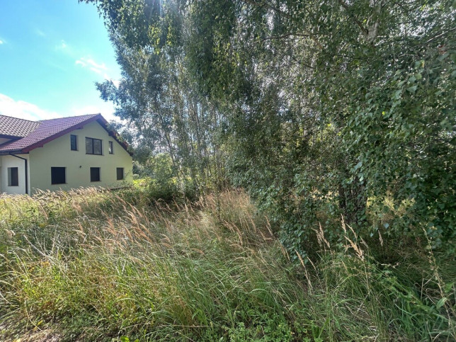 Działka Sprzedaż Dołuje 4