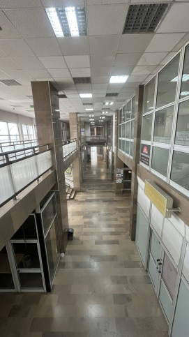Lokal Sprzedaż Szczecin Centrum 13