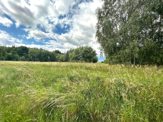 Działka Sprzedaż Nowe Warpno 1