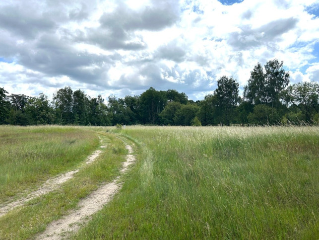 Działka Sprzedaż Nowe Warpno 4