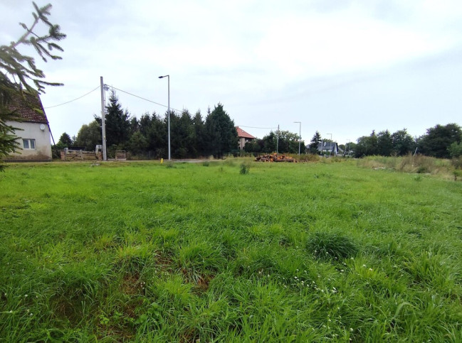 Działka Sprzedaż Stepniczka 11