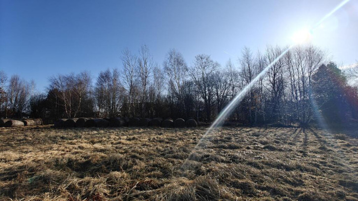 Działka Sprzedaż Koszalin Wilków Morskich 8
