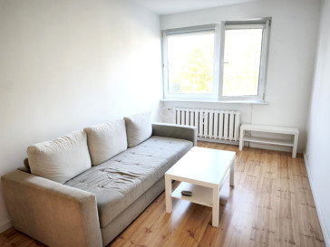 Mieszkanie Wynajem Szczecin Nowe Miasto Potulicka