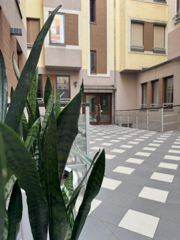 Lokal Sprzedaż Szczecin Centrum 13