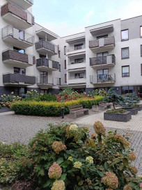 Mieszkanie Wynajem Szczecin Centrum &nbsp;arkowa