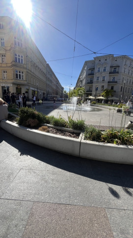 Lokal Wynajem Szczecin Centrum 13