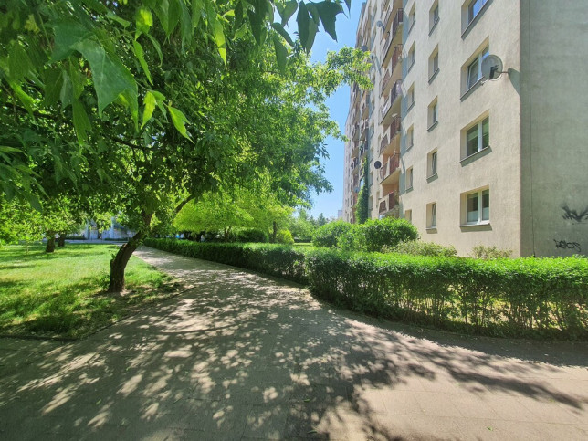 Mieszkanie Wynajem Szczecin Książąt Pomorskich Ks. bpa Władysława Bandurskiego 15