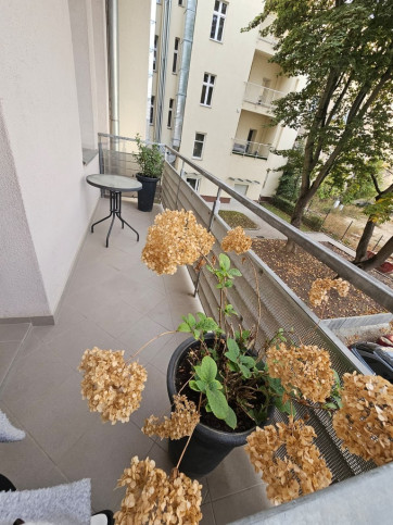 Mieszkanie Sprzedaż Szczecin Śródmieście-Centrum Księcia Bogusława X 4