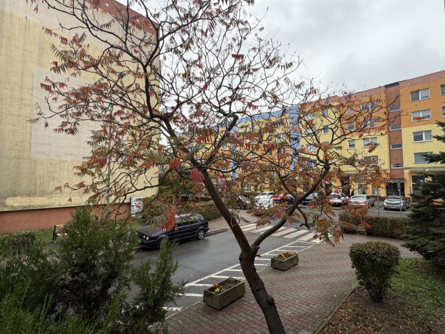 Mieszkanie Sprzedaż Police Przyjaźni 13
