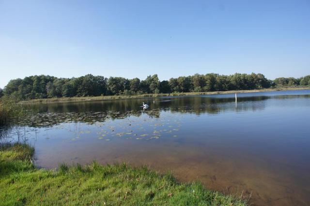 Działka Sprzedaż Dobra 3 Maja 13