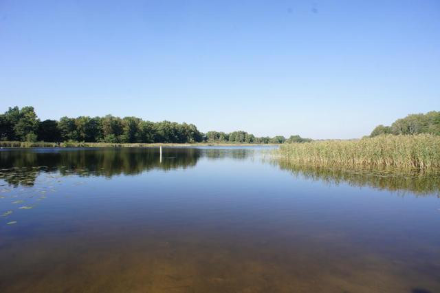 Działka Sprzedaż Dobra 1