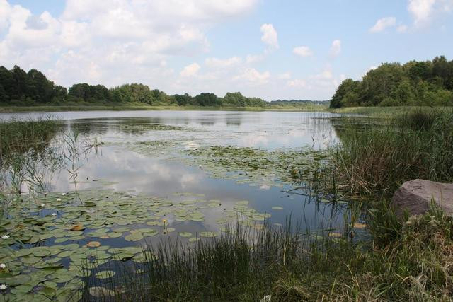 Działka Sprzedaż Dobra 17