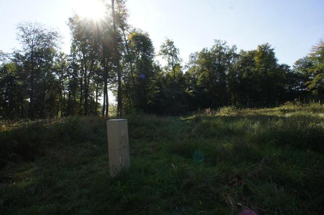 Działka Sprzedaż Dobra 18