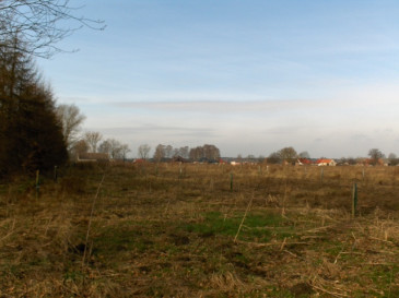 Działka Sprzedaż Białuń