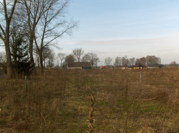 Działka Sprzedaż Białuń