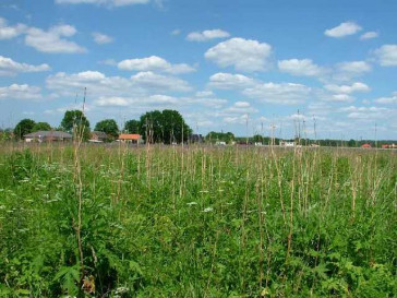 Działka Sprzedaż Białuń