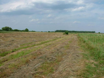 Działka Sprzedaż Czarna Łąka