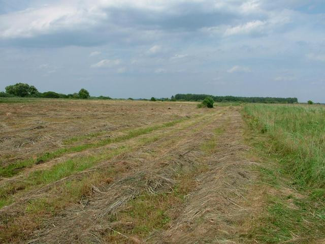Działka Sprzedaż Czarna Łąka 5