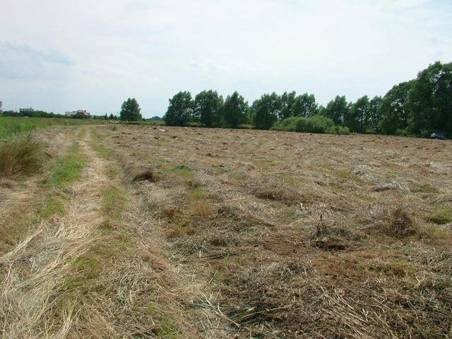 Działka Sprzedaż Czarna Łąka 7