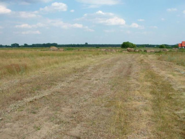 Działka Sprzedaż Czarna Łąka