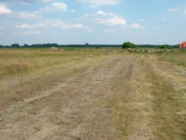 Działka Sprzedaż Czarna Łąka 4