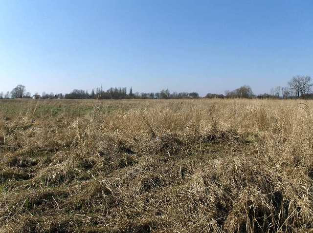 Działka Sprzedaż Czarna Łąka 6