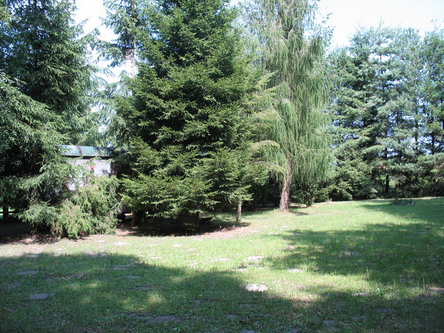 Działka Sprzedaż Strzeszów 5