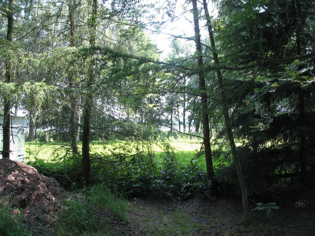 Działka Sprzedaż Strzeszów 6