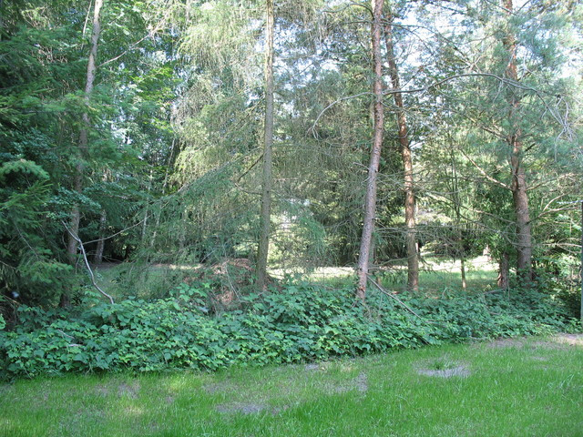Działka Sprzedaż Strzeszów 10