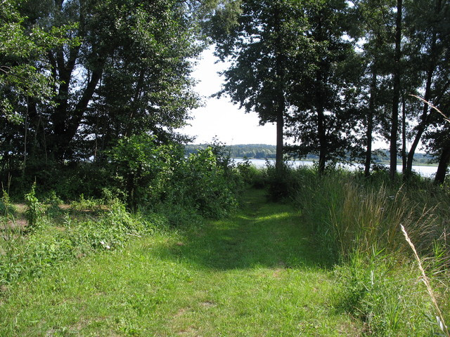 Działka Sprzedaż Strzeszów 1
