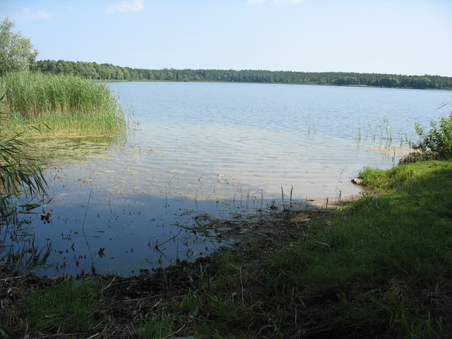 Działka Sprzedaż Strzeszów 3