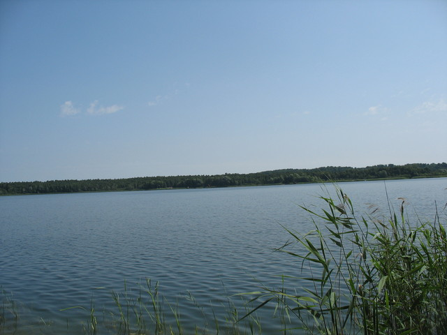 Działka Sprzedaż Strzeszów 12