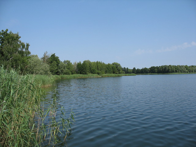 Działka Sprzedaż Strzeszów 13