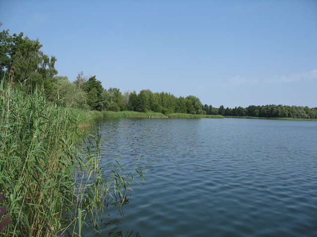 Działka Sprzedaż Strzeszów 14
